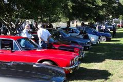 2014 Saturday Concours