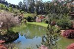 Rhodos_Burnie_2015_41