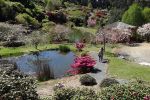 Rhodos_Burnie_2015_43