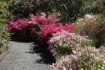 Rhodos_Burnie_2015_45
