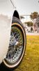 Devonport_Motor_Show_07