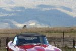 Mole_Creek_Market_2017_44