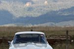 Mole_Creek_Market_2017_45