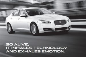 Jaguar Australia - Click for More...