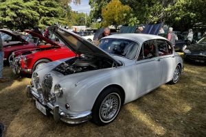 Westbury Car Show 2025